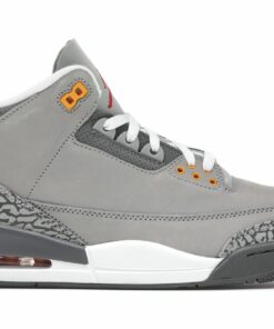 Jordan 3 Retro Cool Grey 2021