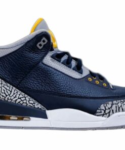 Jordan 3 Retro University of Michigan