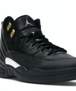 Jordan 12 Retro The Master