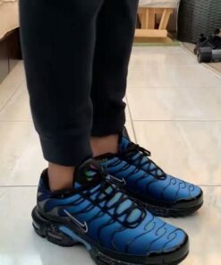 Nike TN Air Max Plus Blue Gradient