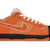 Nike SB Dunk Low Jarritos